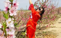 快乐大巴2012年全集